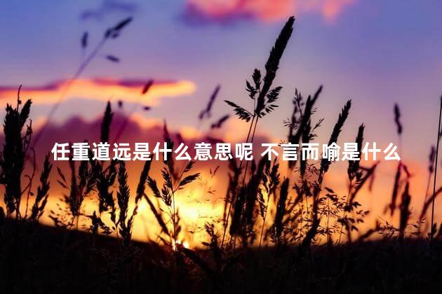 任重道远是什么意思呢 不言而喻是什么意思